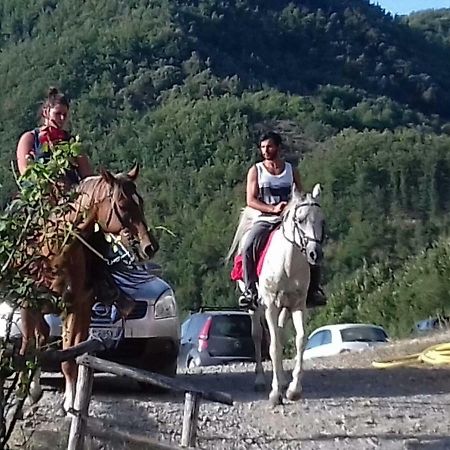 Le Chianine Dei Tognoli Villa Gragnola Dış mekan fotoğraf