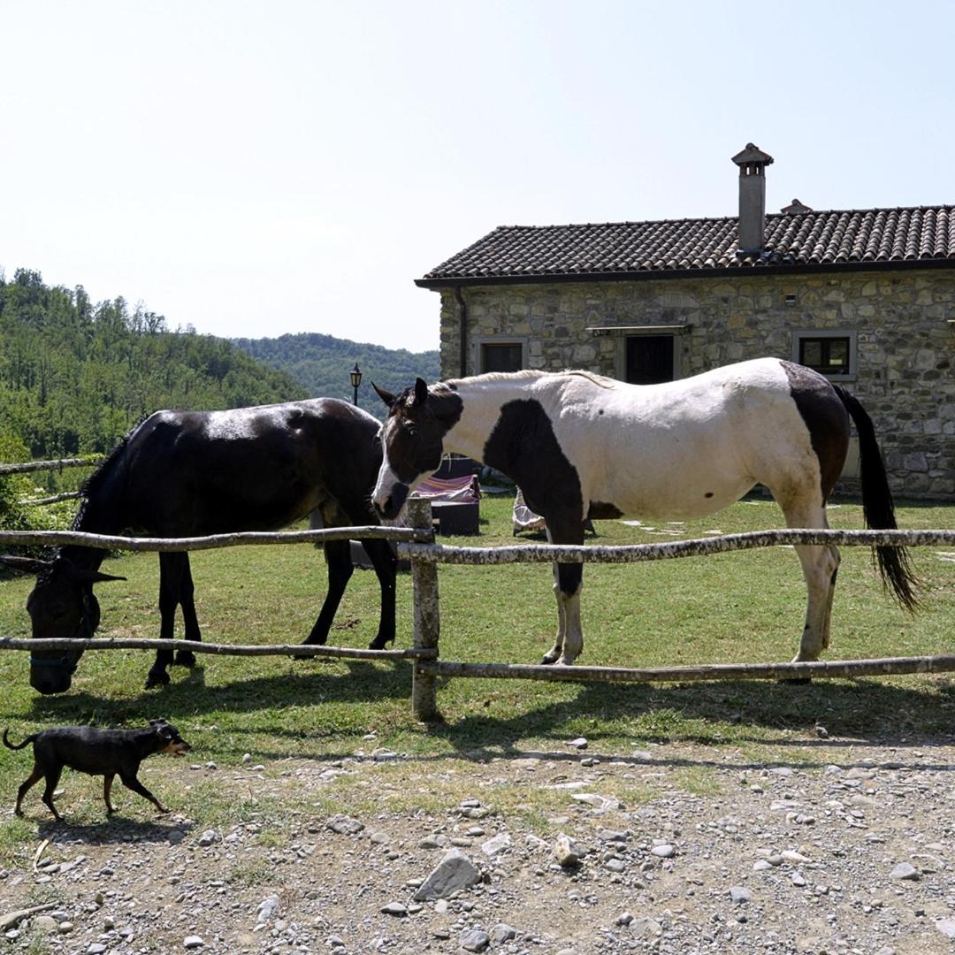 Le Chianine Dei Tognoli Villa Gragnola Dış mekan fotoğraf