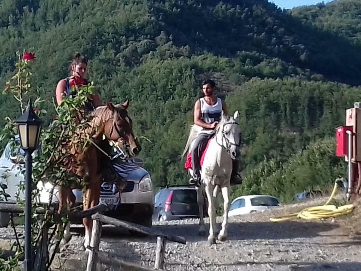 Le Chianine Dei Tognoli Villa Gragnola Dış mekan fotoğraf