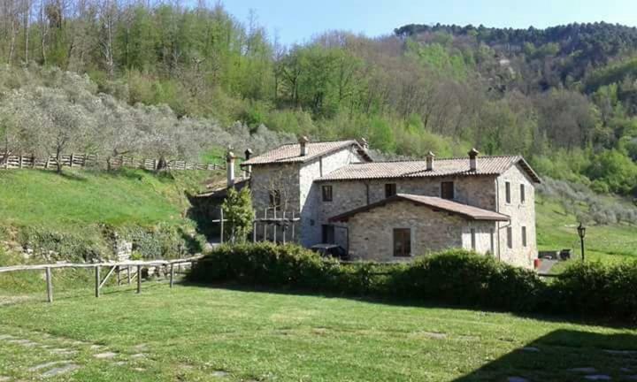 Le Chianine Dei Tognoli Villa Gragnola Dış mekan fotoğraf