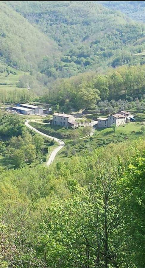 Le Chianine Dei Tognoli Villa Gragnola Dış mekan fotoğraf